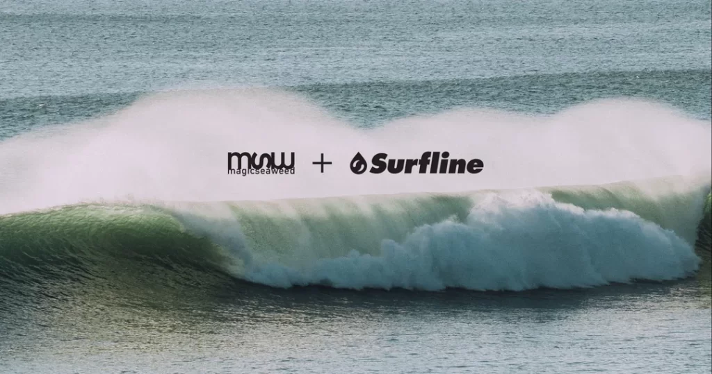 surfing websites