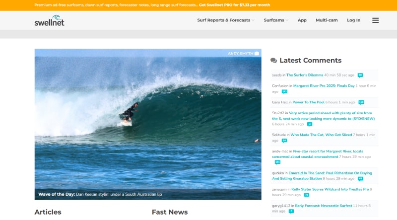 surfing websites
